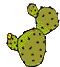 ficu palu(fichi d'india)
